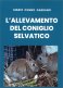 Immagine prodotto