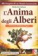 Immagine prodotto