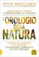 Immagine prodotto