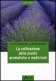 Immagine prodotto