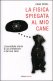 Immagine prodotto