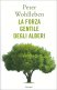 Immagine prodotto