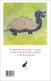 Immagine prodotto