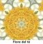Immagine prodotto