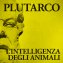 Immagine prodotto