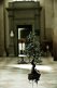 Immagine prodotto