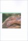 Immagine prodotto