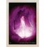 Immagine prodotto