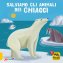 Immagine prodotto