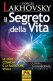 Immagine prodotto