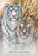 Immagine prodotto