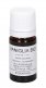Vaniglia - Olio Essenziale Puro Bio