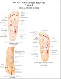 2 Poster di Tui Na Riflessologia del Piede — Poster