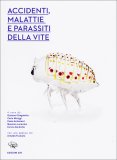 Accidenti, Malattie e Parassiti della Vite  — Libro