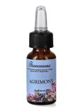 Agrimony - Fiori di Bach