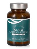 Alga Carrighenani
