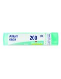 Allium Cepa Boiron 200CH Granuli