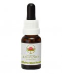 Alpine Mint Bush - Fiori australiani - 15 ml