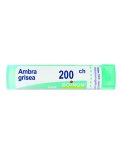 Ambra Grisea Boiron 200CH Granuli