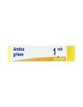 Ambra Grisea Boiron MK Globuli Monodose