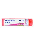 Anacardium Orientale Boiron 7CH Granuli