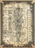 Anatomia Occulta — Poster