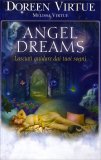 Angel Dreams  — Libro