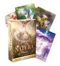 Angeli della Natura