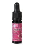 Angelica - Fiori Californiani - Dose