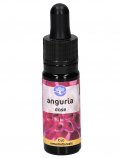 Anguria - Dose