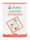 Antalgea