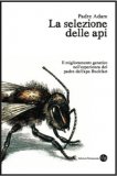 Apicoltura all'Abbazia di Buckfast — Libro