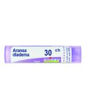 Aranea Diadema Boiron 30CH Granuli