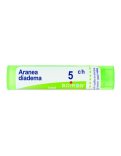 Aranea Diadema Boiron 5CH Granuli