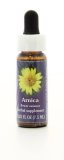 Arnica - Fiori californiani