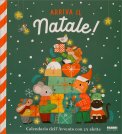 Arriva il Natale — Libro