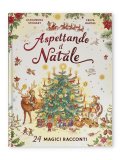 Aspettando il Natale — Libro