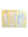 Atlante Completo dei Meridiani di Do-In e Shiatsu - Poster — Poster