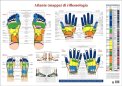 Atlante (Mappa) di Riflessologia — Poster