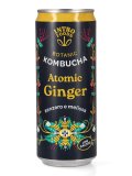 Atomic Ginger Kombucha - Zenzero e Melissa