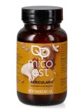 Auricolaria - MicoEST
