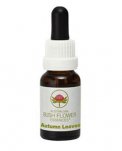 Autumn Leaves - Fiori australiani - 15 ml