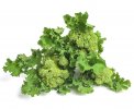 Semi di Cima di Rapa Sessantina Bio