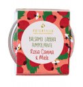 Balsamo Labbra Rimpolpante Rosa Canina e Miele