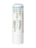 Balsamo Stick Labbra Aloe e Tea Tree - The Beauty Seed