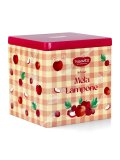 Barattolo Happy Fruits - Infuso di Mela e Lampone Bio con Filtri