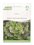 Semi di Batavia Rossa Bio - Luana