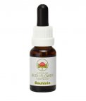Bauhinia - Fiori australiani - 15 ml