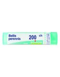 Bellis Perennis Boiron 200CH Granuli