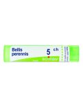 Bellis Perennis Boiron 5CH Granuli